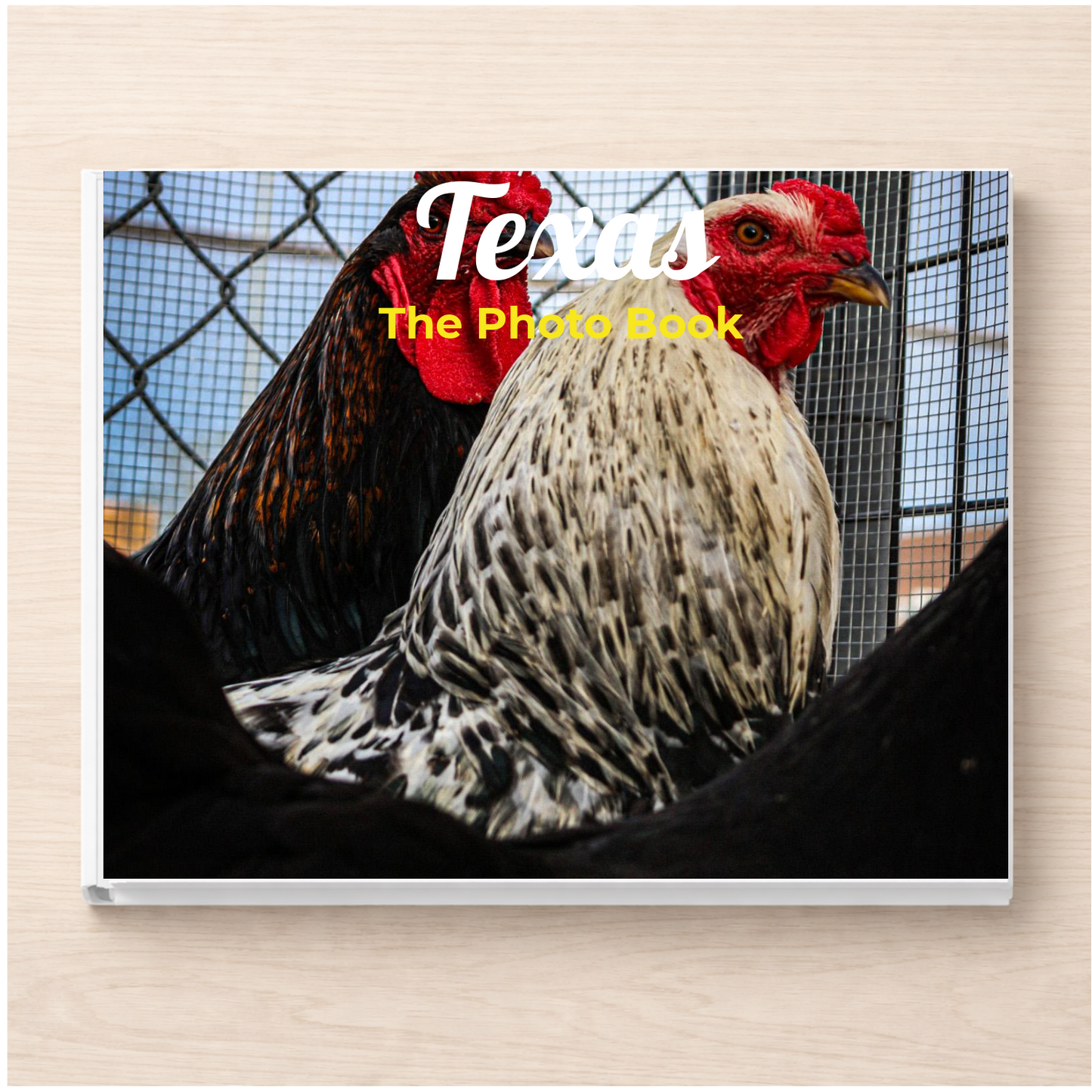 Texas: The Photo Book