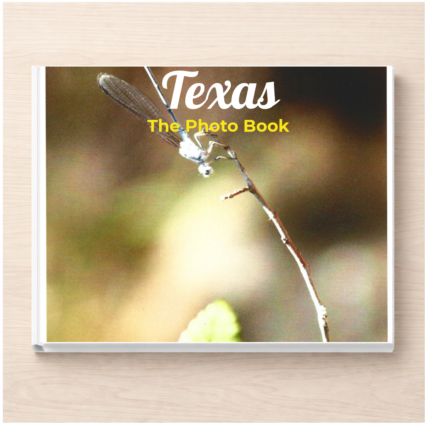Texas: The Photo Book