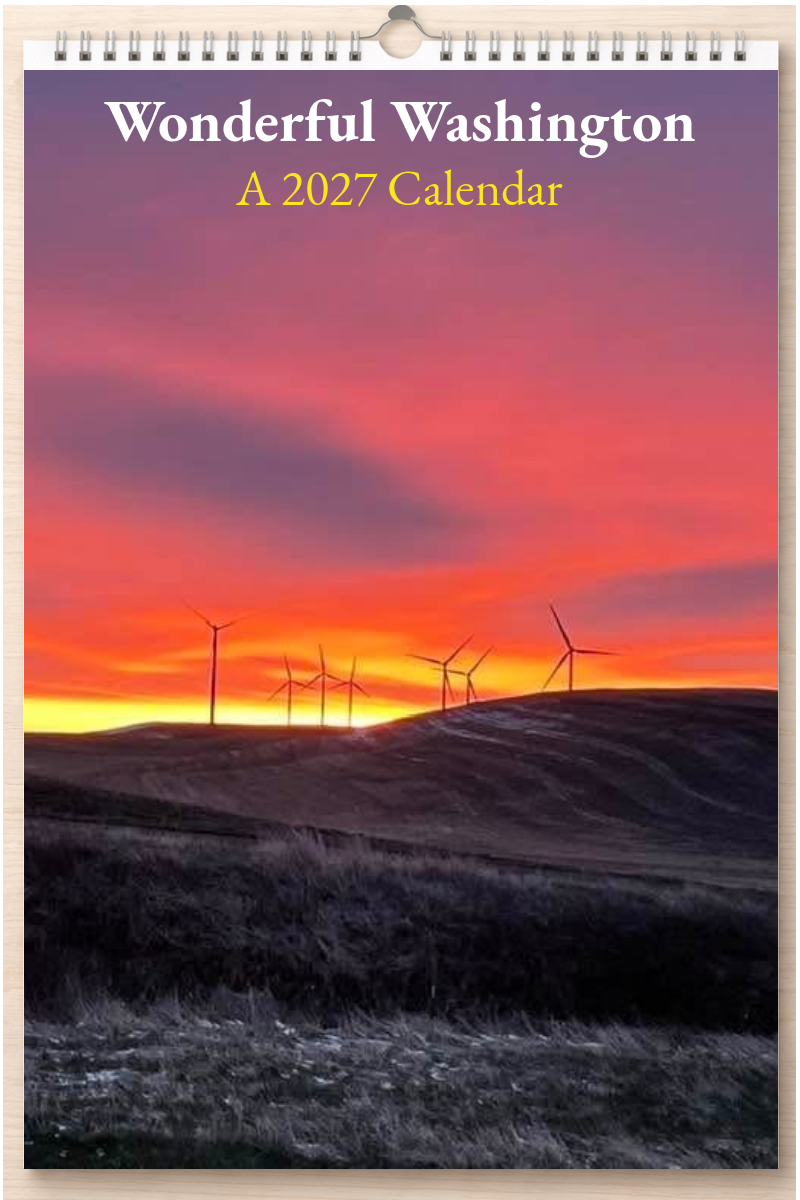 Wonderful Washington: A 2027 Calendar
