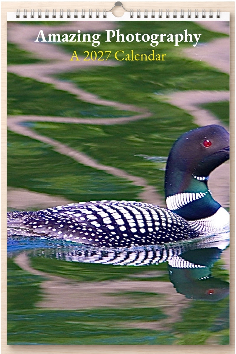 Amazing Photography: A 2027 Calendar