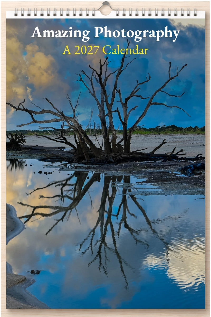 Amazing Photography: A 2027 Calendar