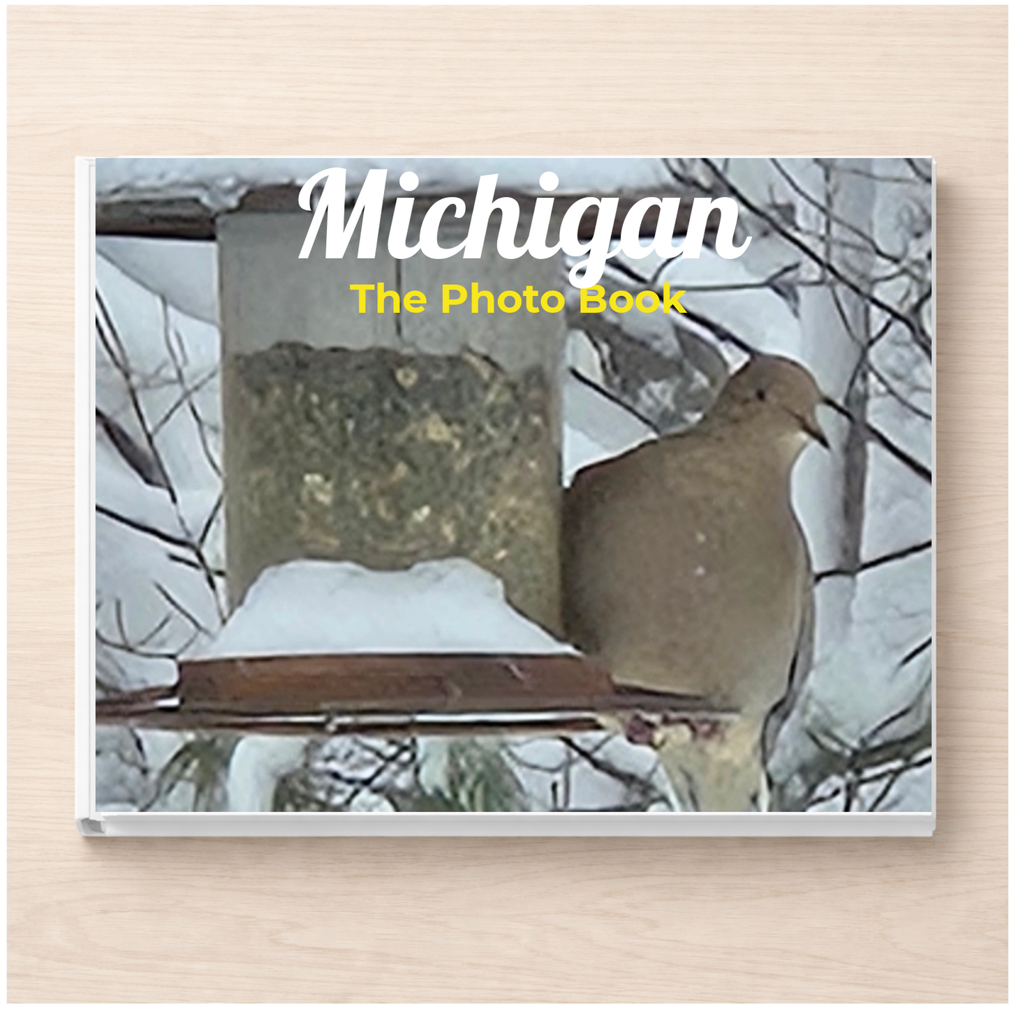 Michigan: The Photo Book