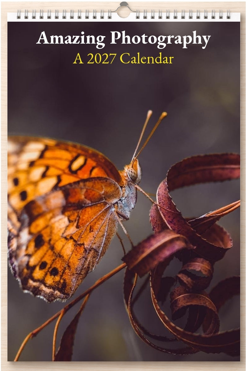 Amazing Photography: A 2027 Calendar