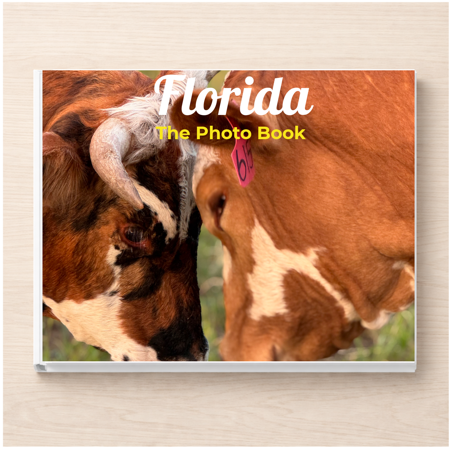 Florida: The Photo Book