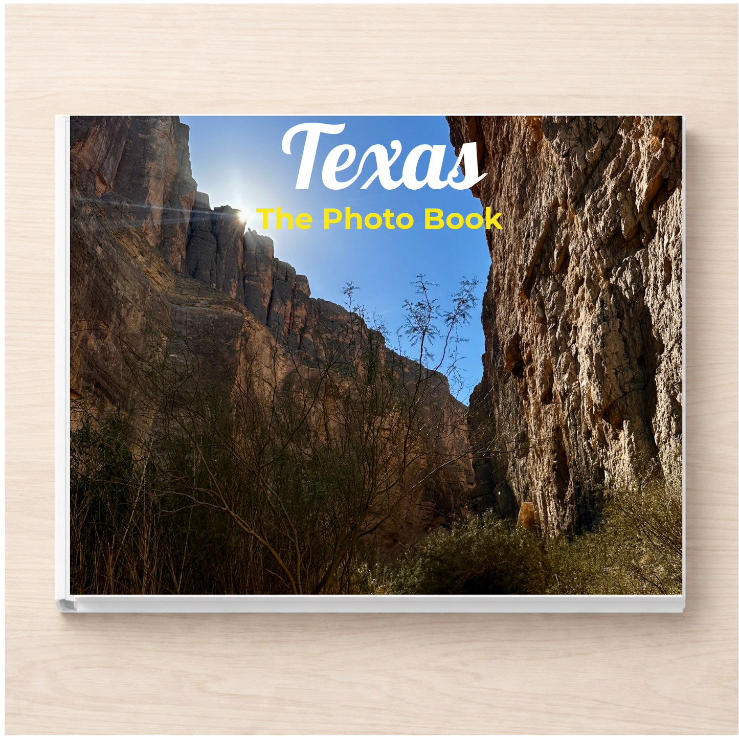 Texas: The Photo Book