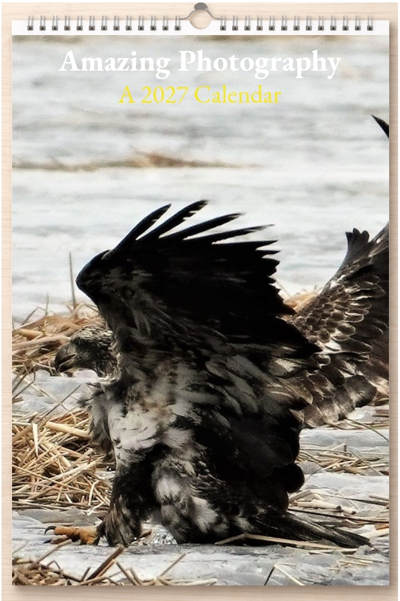 Amazing Photography: A 2027 Calendar