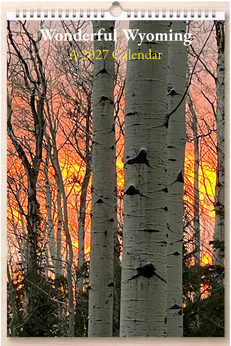 Wonderful Wyoming: A 2027 Calendar