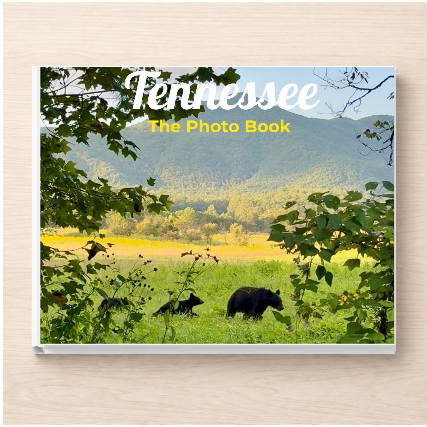 Tennessee: The Photo Book