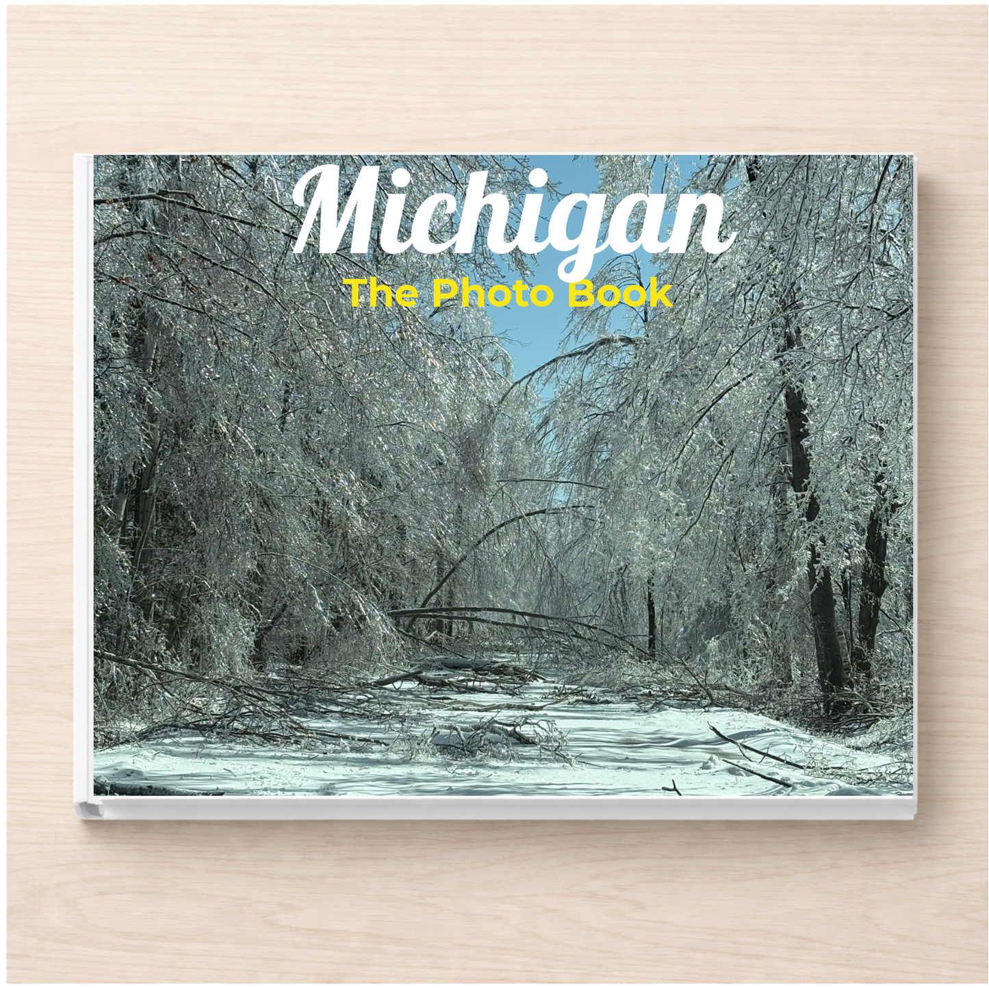 Michigan: The Photo Book