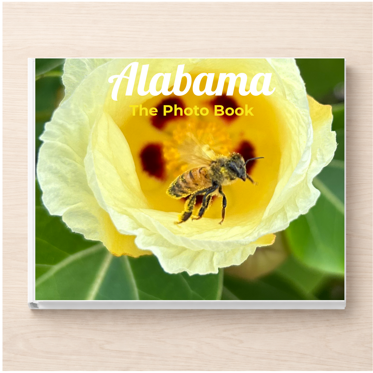 Alabama: The Photo Book