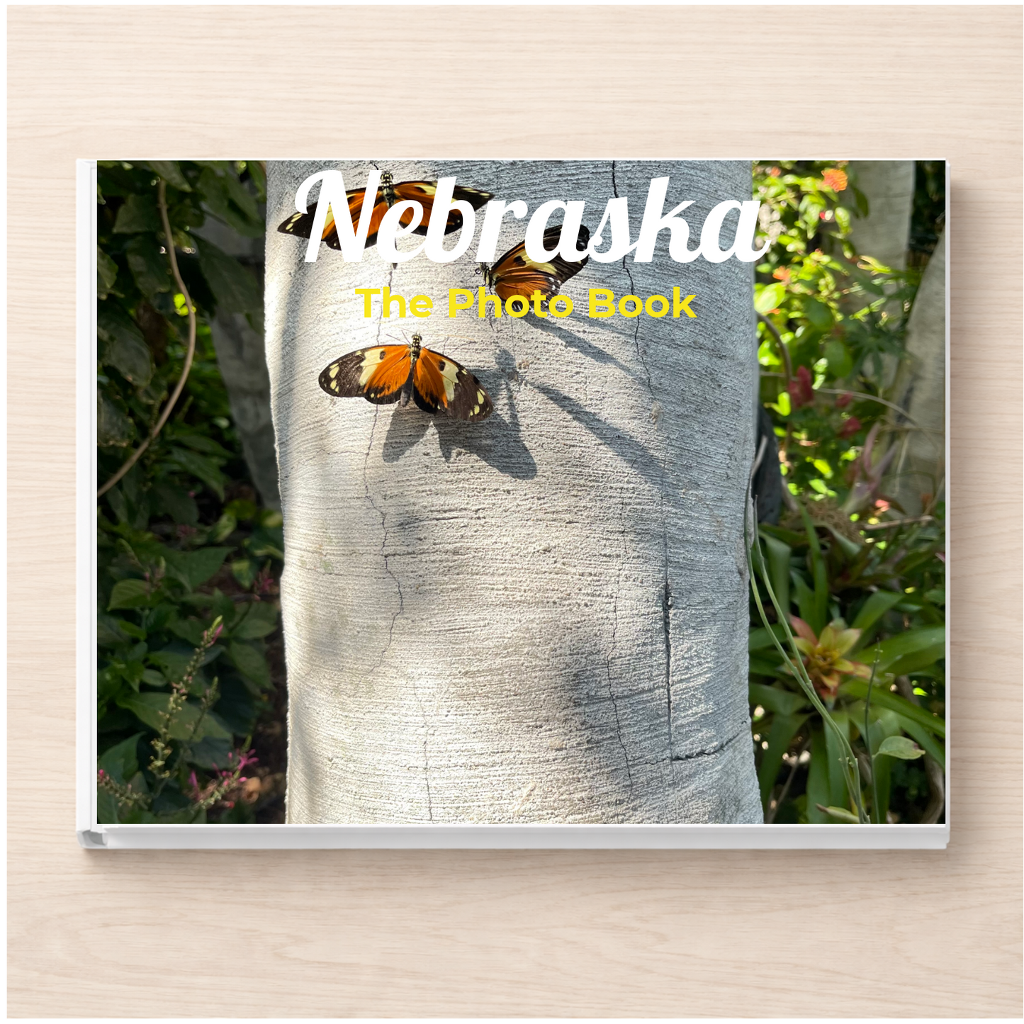 Nebraska: The Photo Book