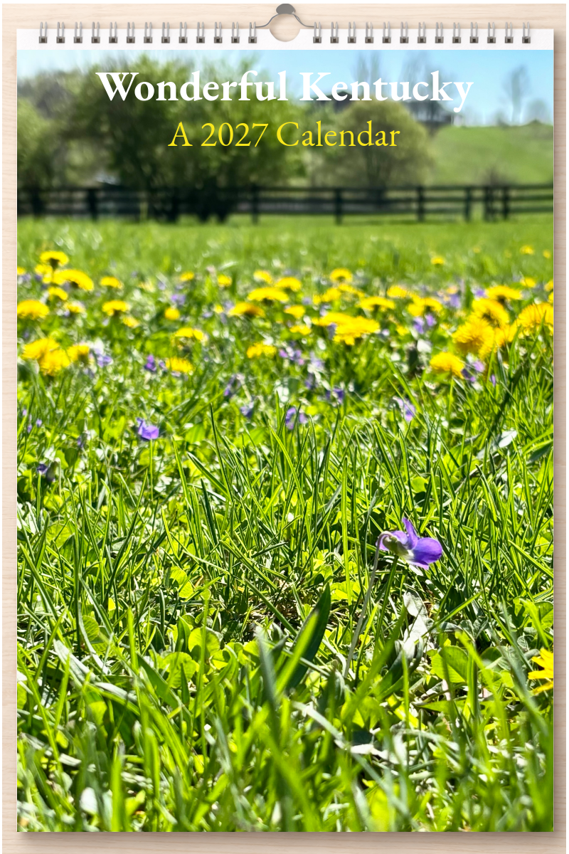 Wonderful Kentucky: A 2027 Calendar