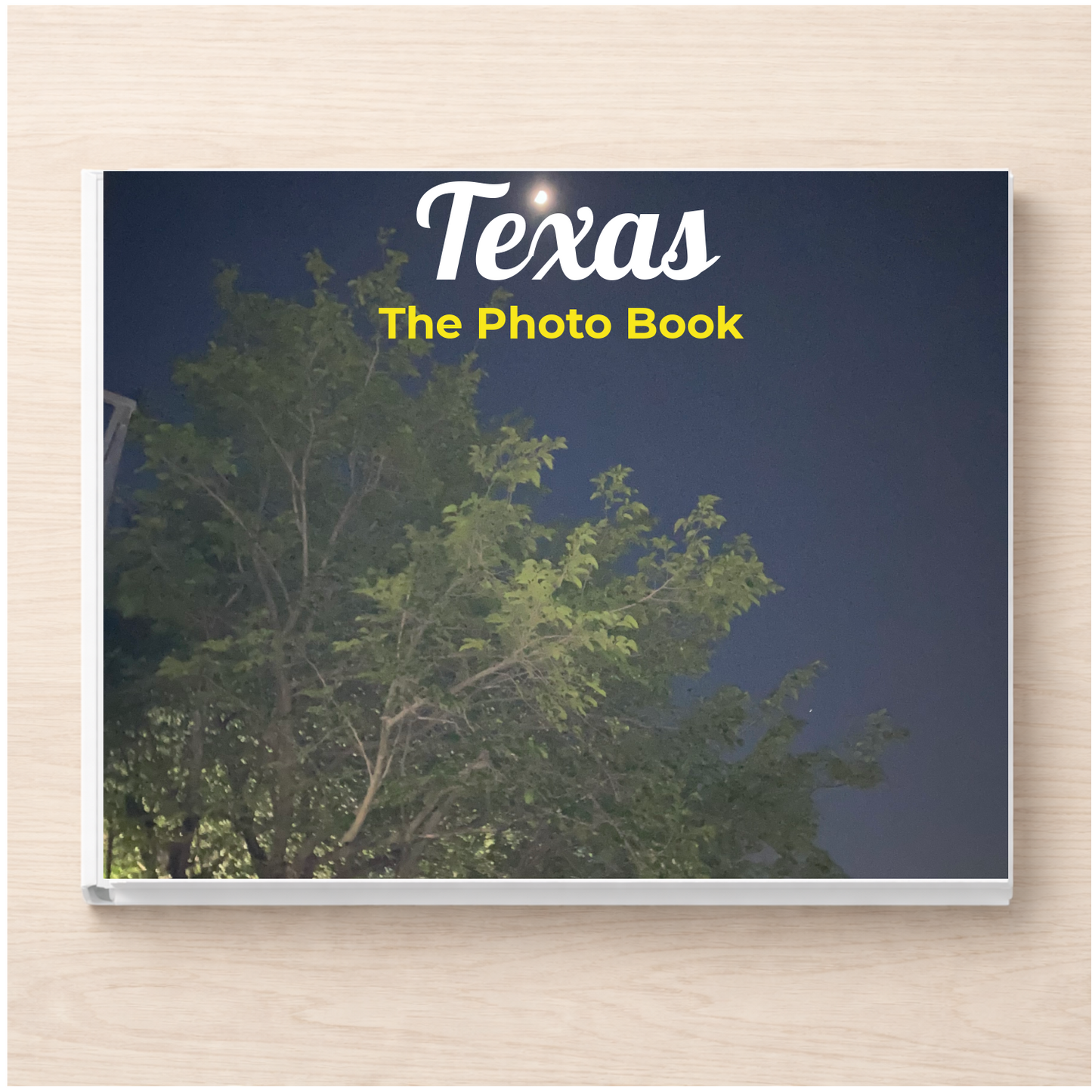 Texas: The Photo Book