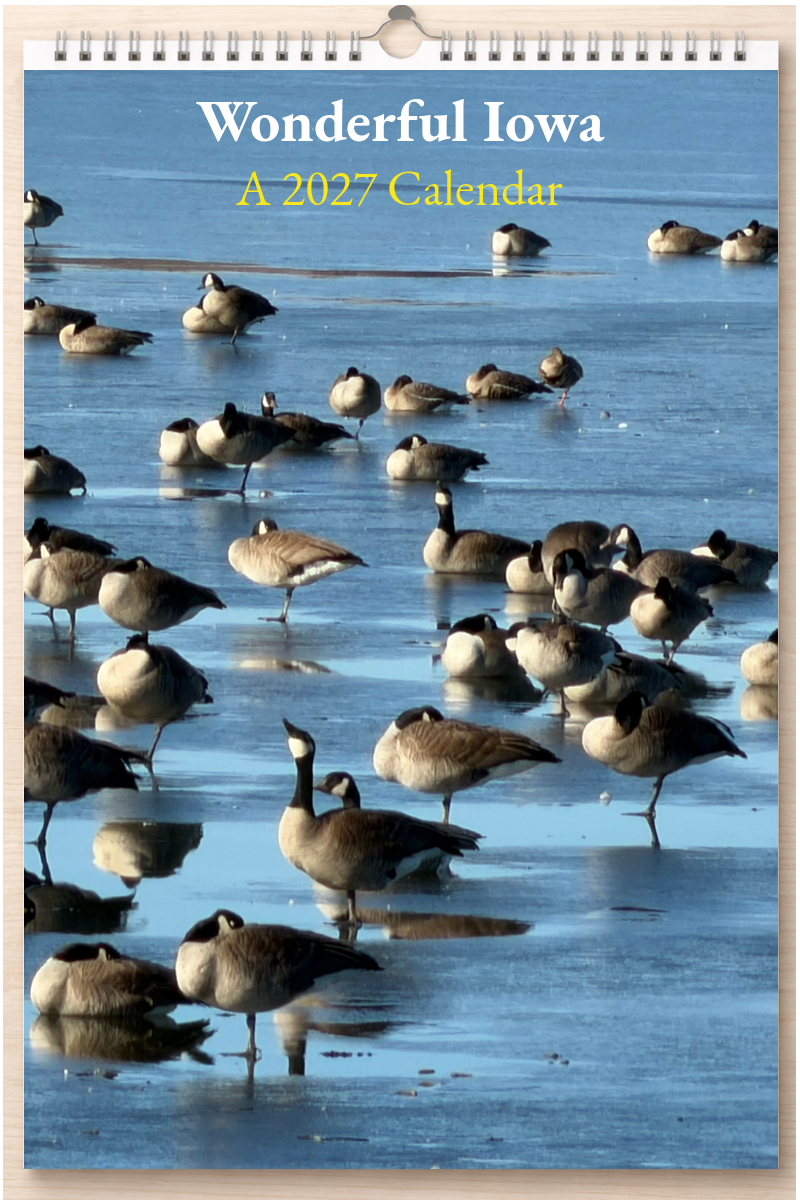 Wonderful Iowa: A 2027 Calendar
