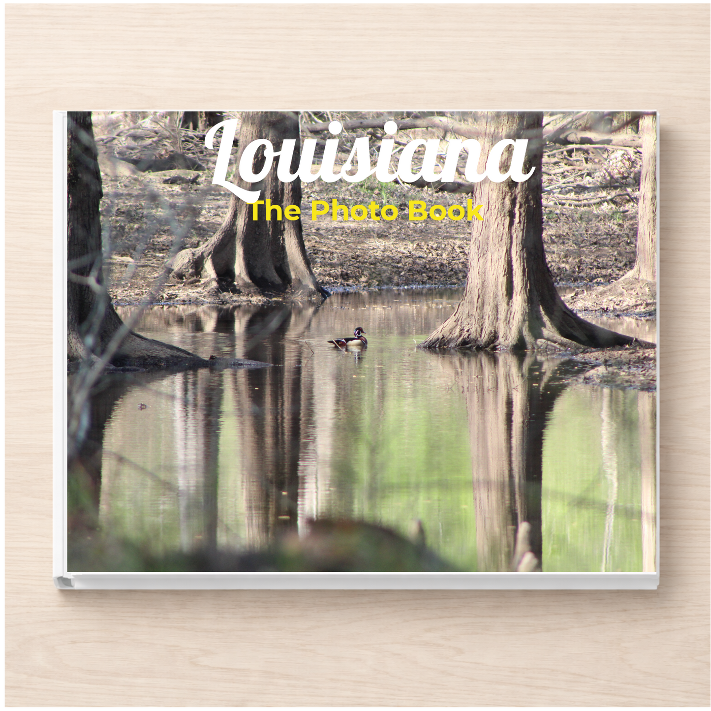 Louisiana: The Photo Book