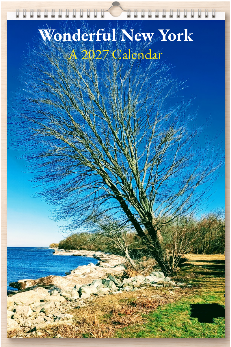 Wonderful New York: A 2027 Calendar
