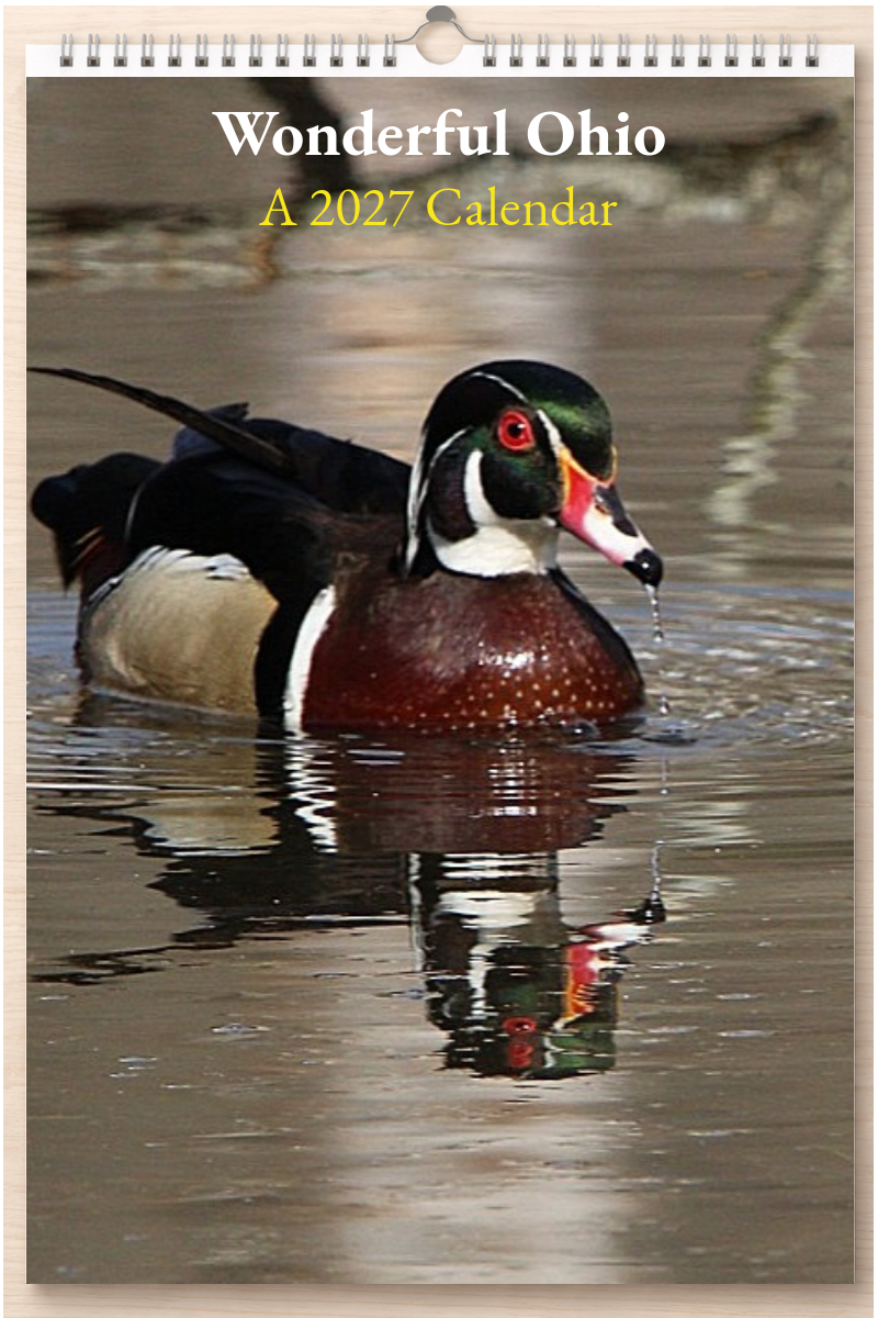 Wonderful Ohio: A 2027 Calendar