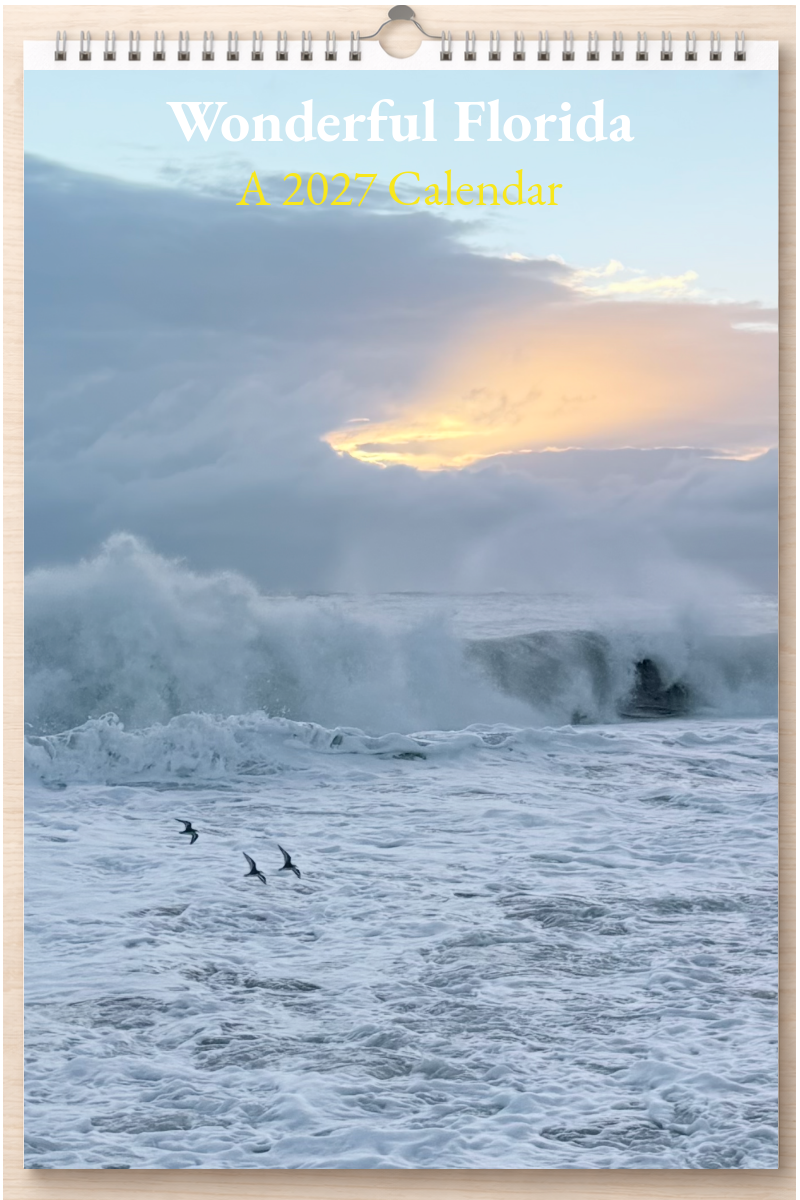 Wonderful Florida: A 2027 Calendar