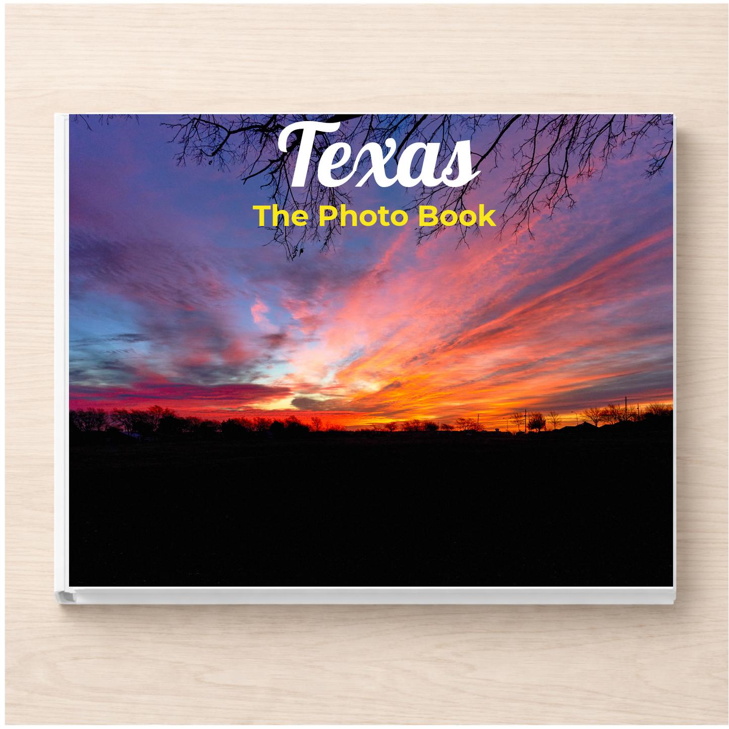 Texas: The Photo Book