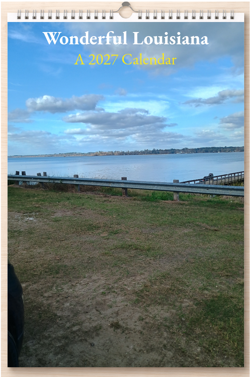 Wonderful Louisiana: A 2027 Calendar