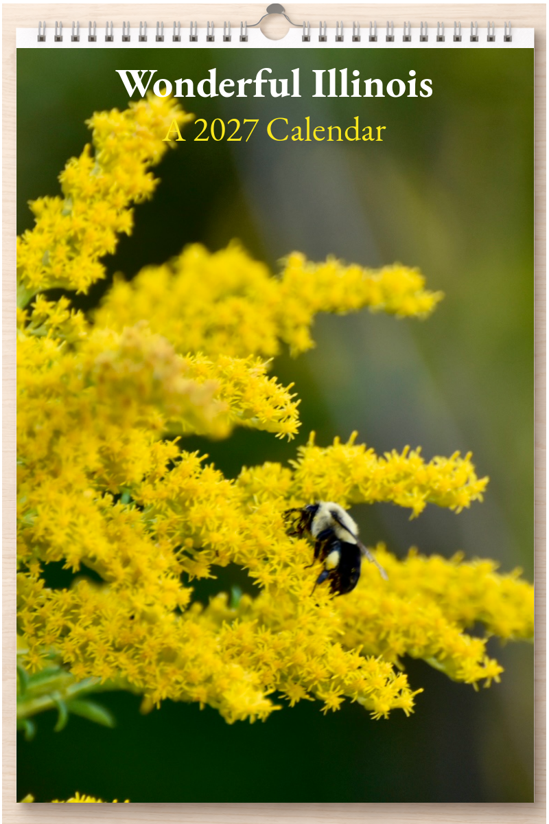 Wonderful Illinois: A 2027 Calendar