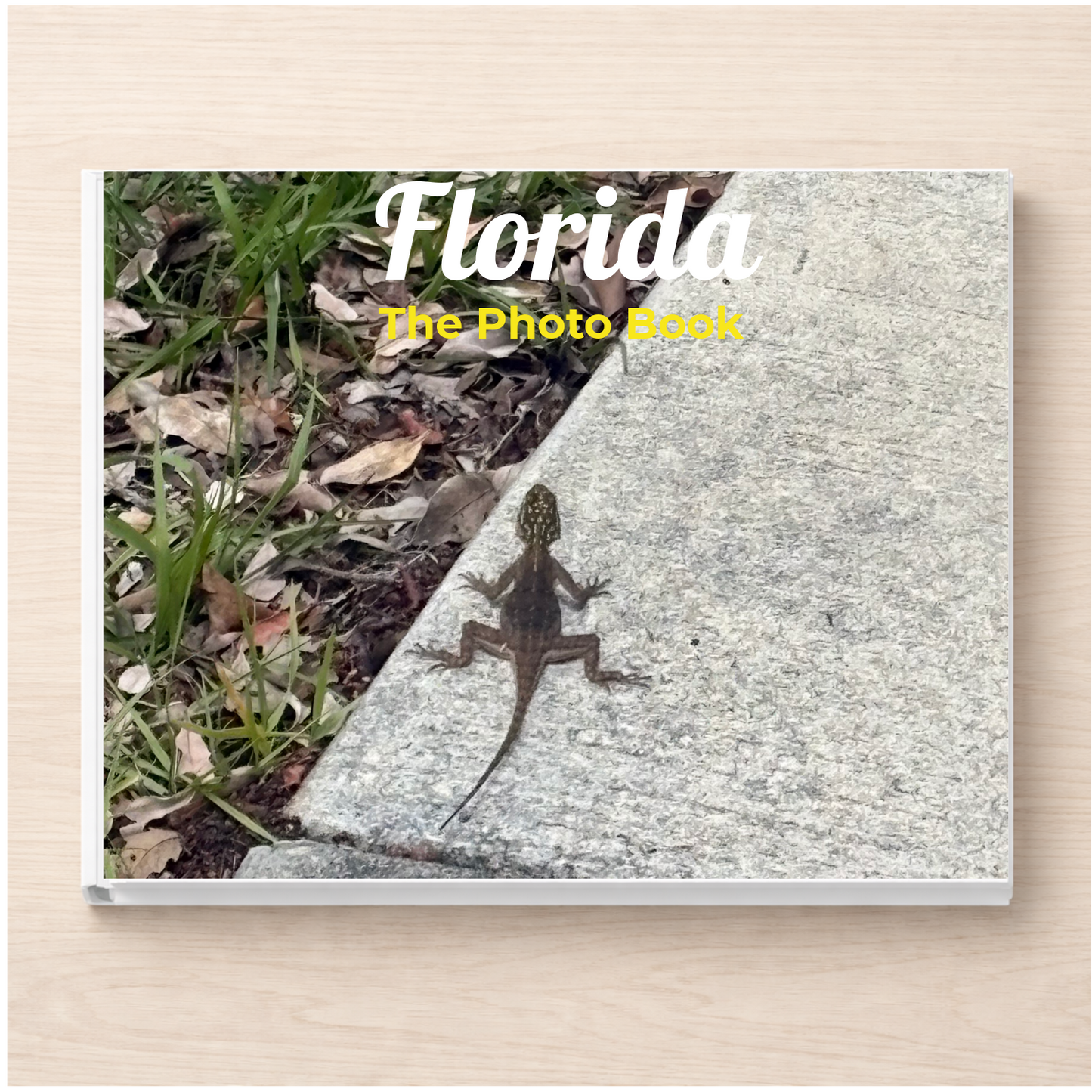 Florida: The Photo Book