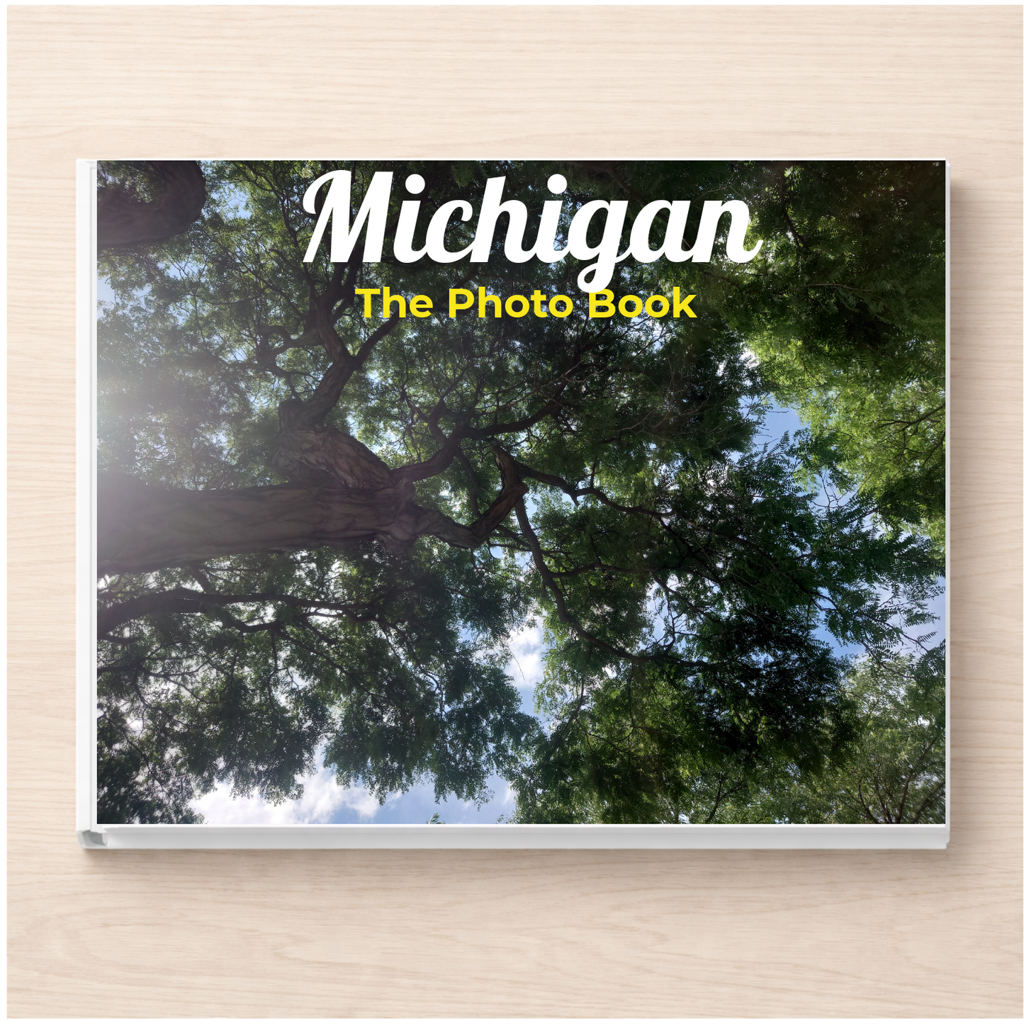 Michigan: The Photo Book
