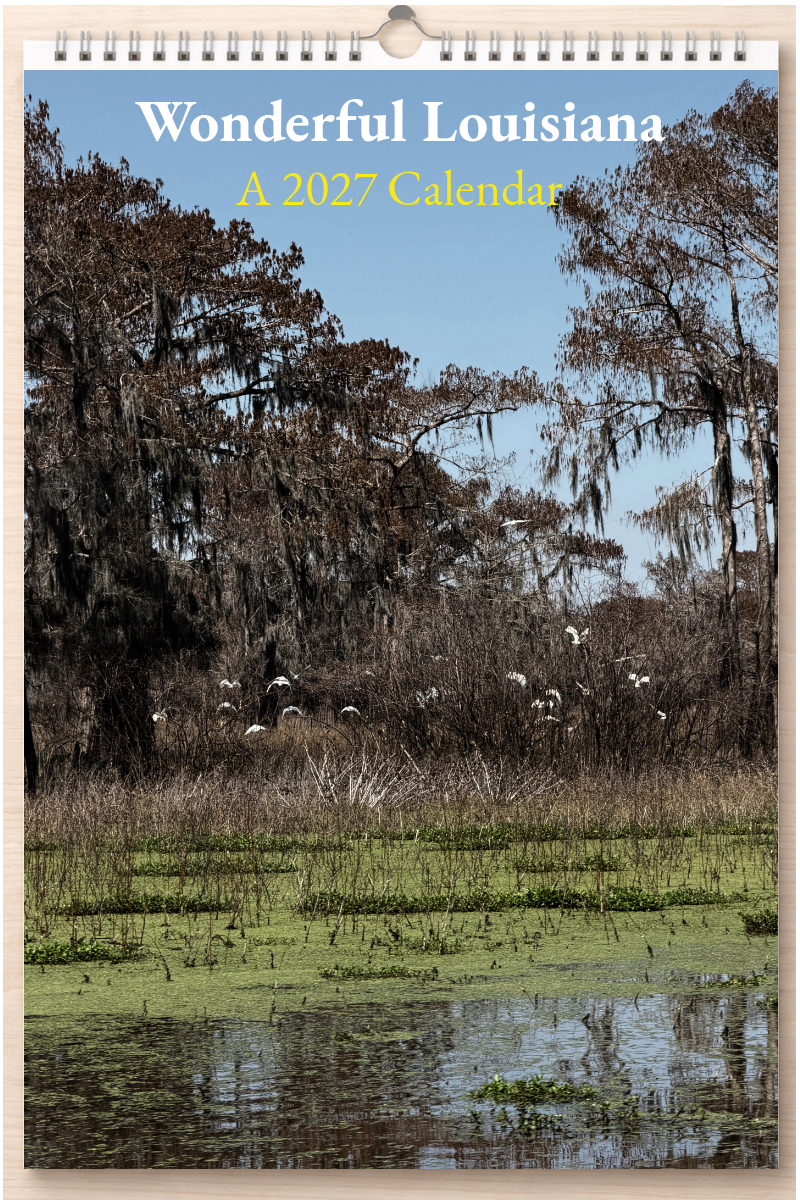 Wonderful Louisiana: A 2027 Calendar