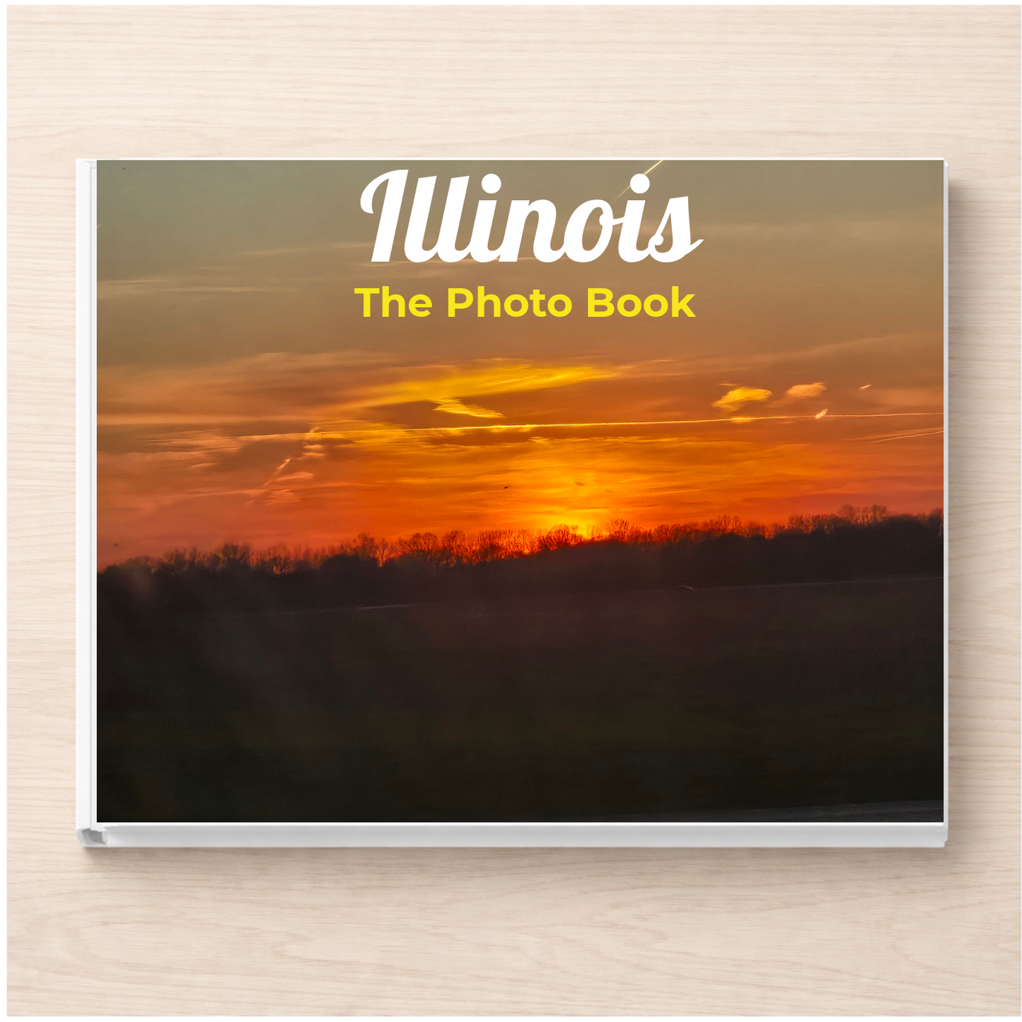 Illinois: The Photo Book