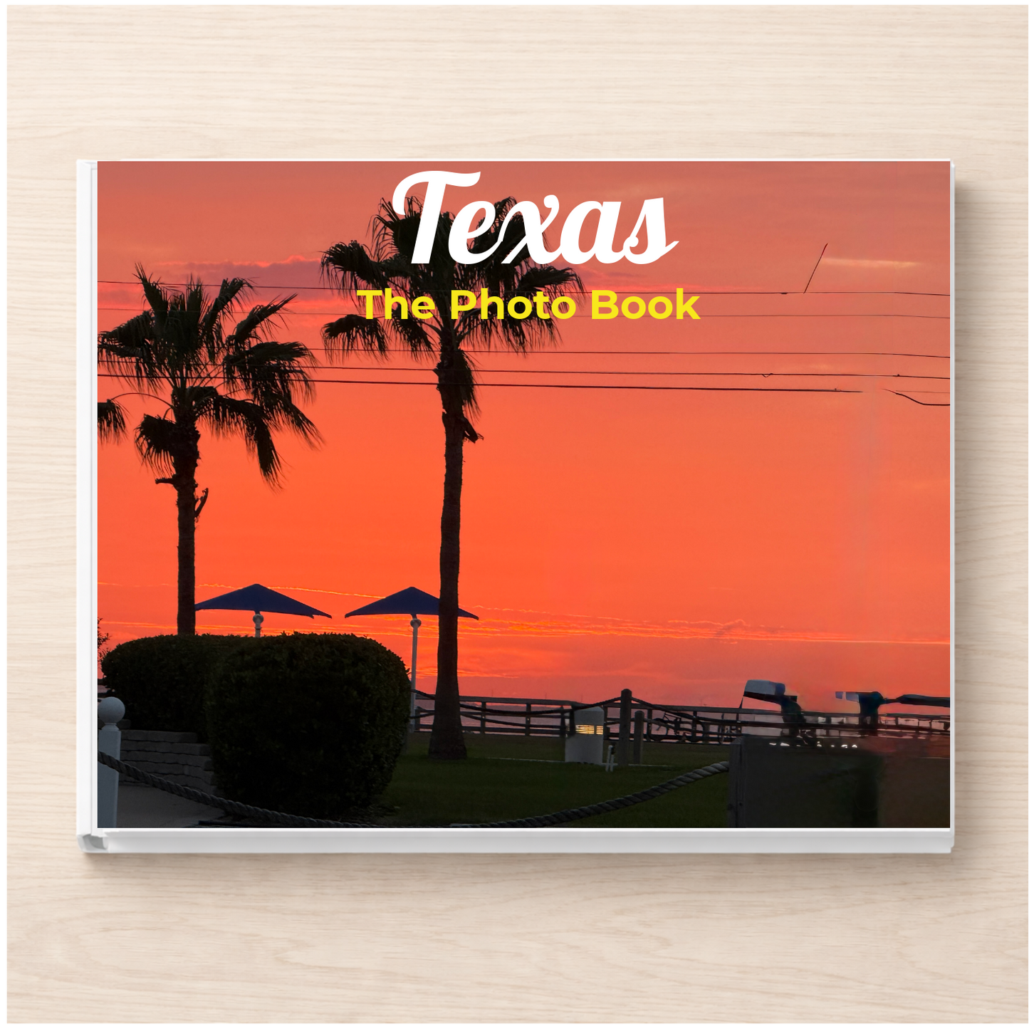 Texas: The Photo Book