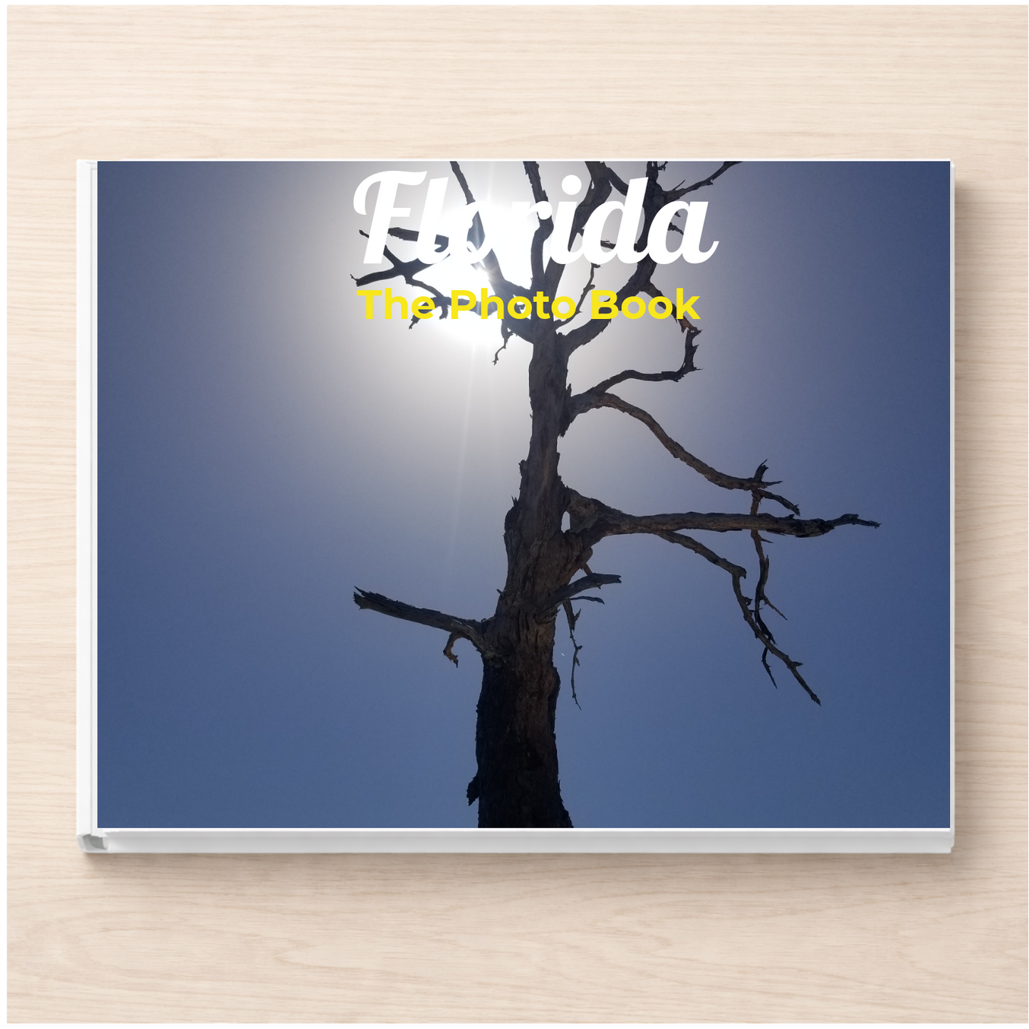 Florida: The Photo Book