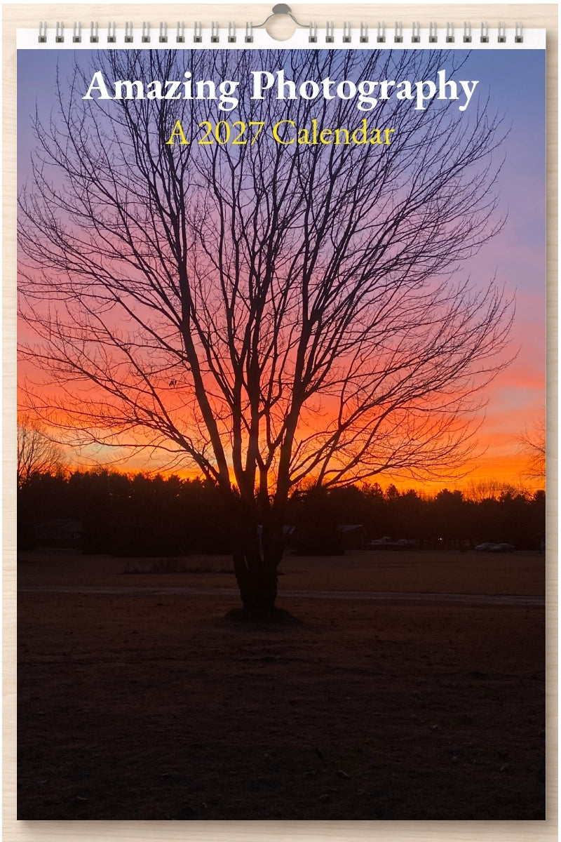 Amazing Photography: A 2027 Calendar