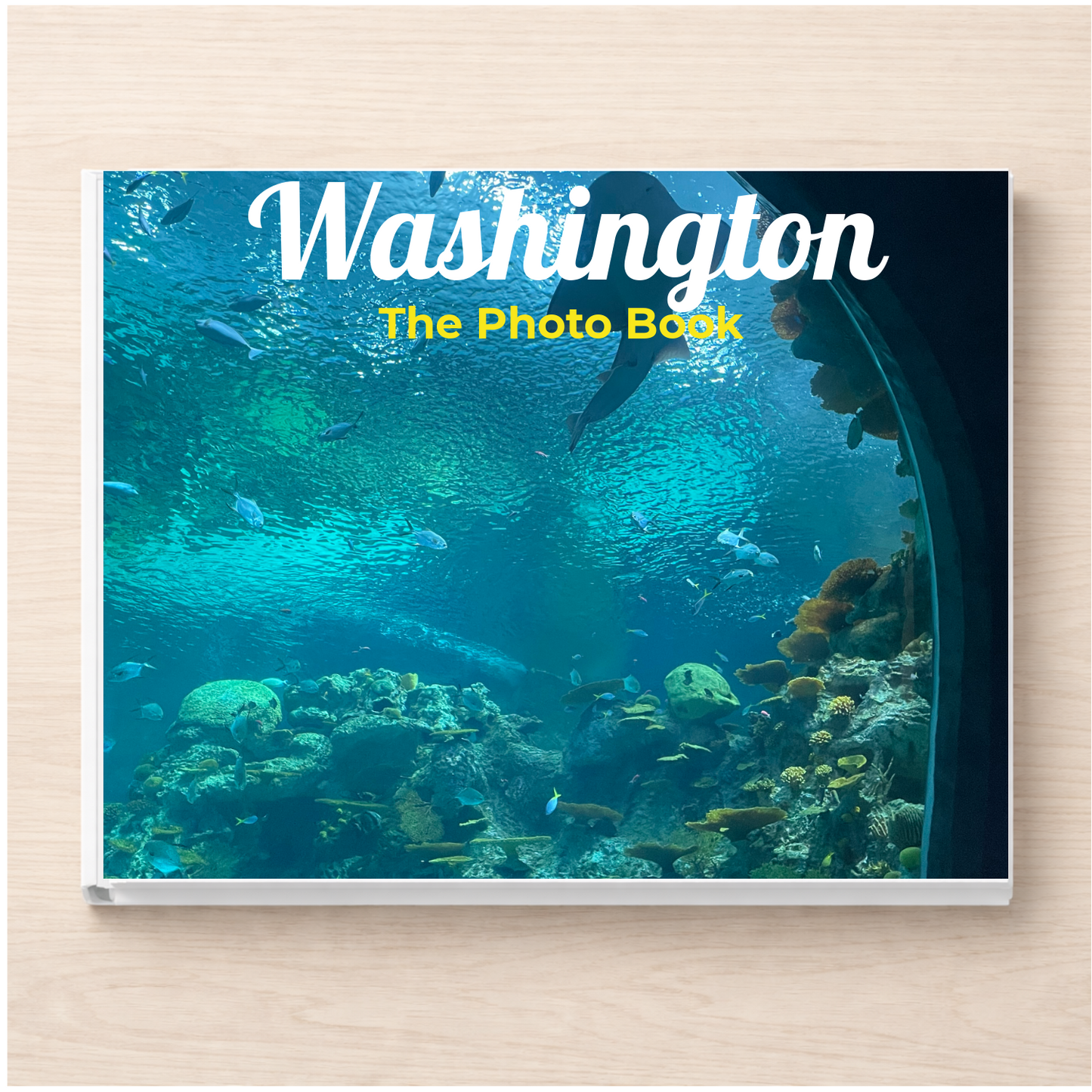 Washington: The Photo Book