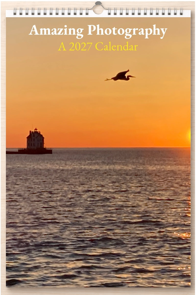 Amazing Photography: A 2027 Calendar