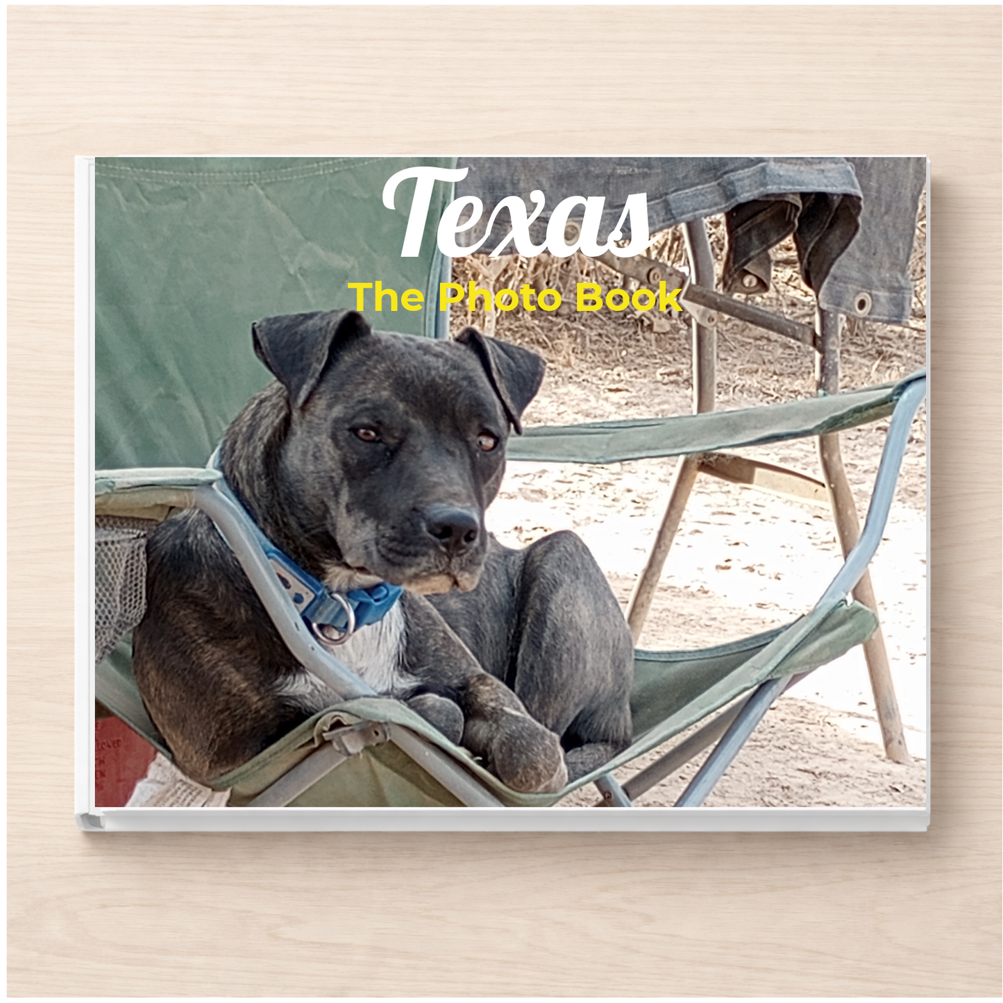 Texas: The Photo Book