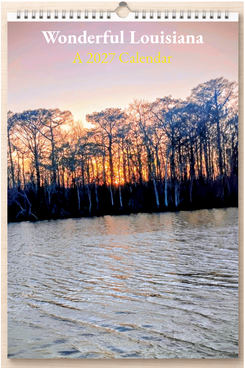 Wonderful Louisiana: A 2027 Calendar