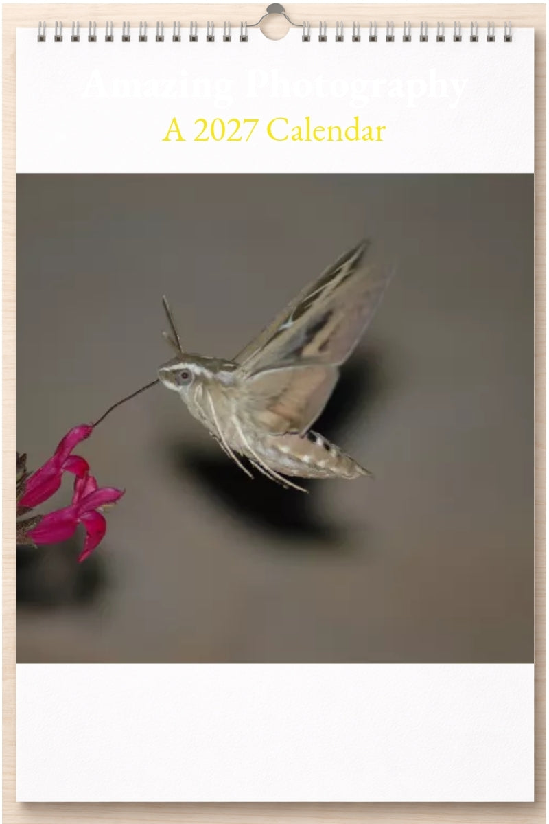Amazing Photography: A 2027 Calendar