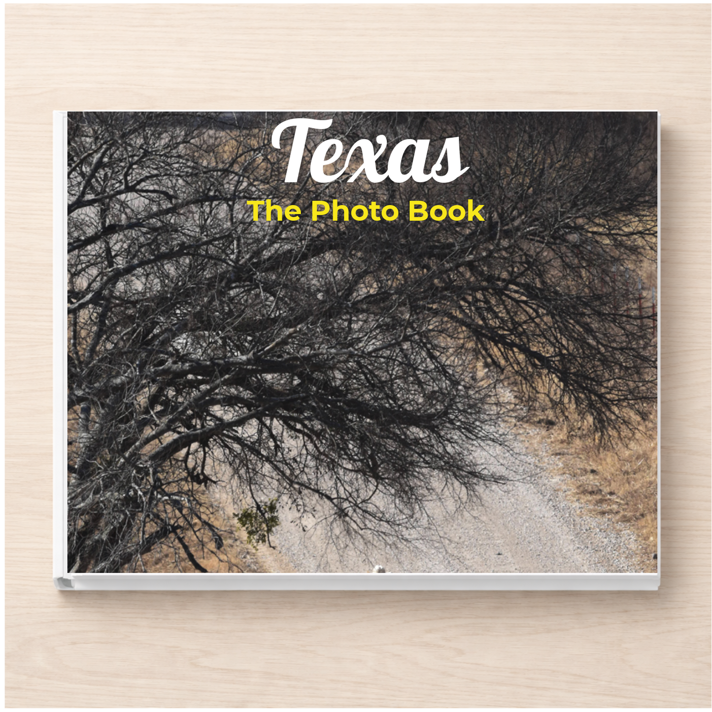 Texas: The Photo Book
