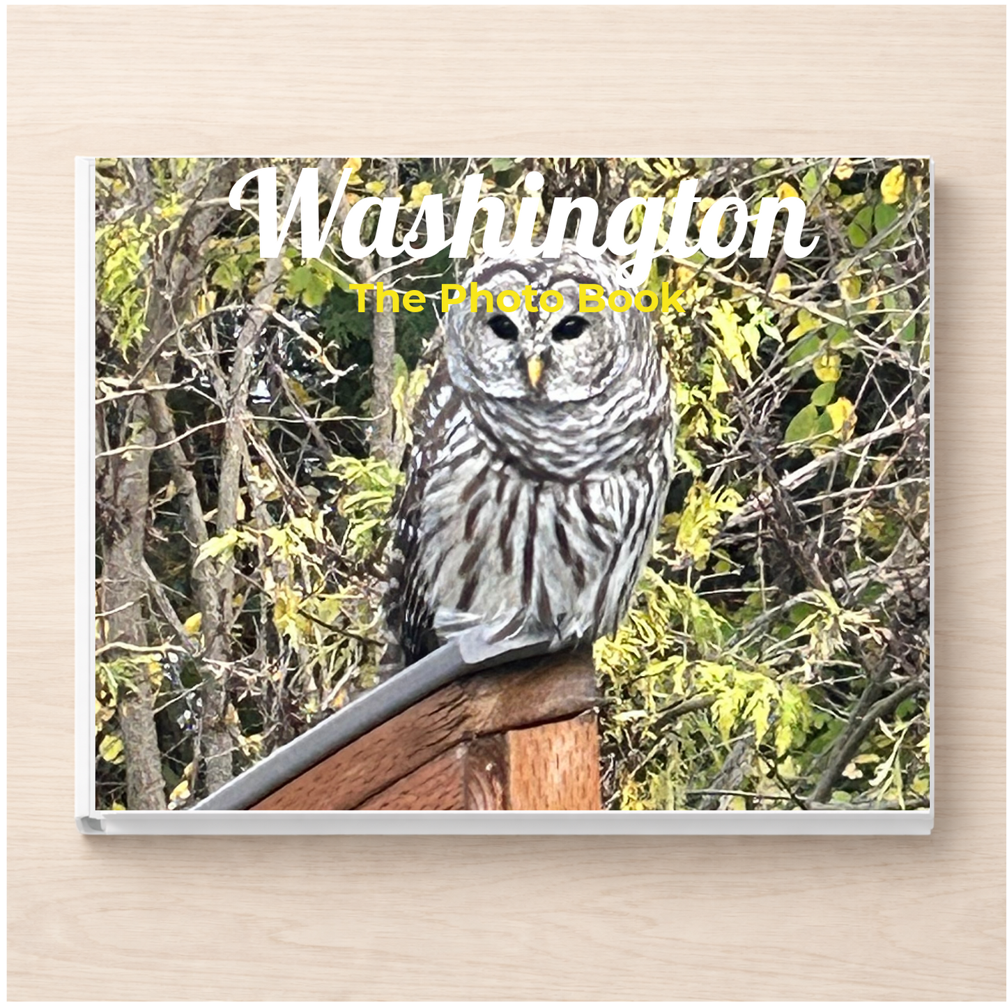 Washington: The Photo Book