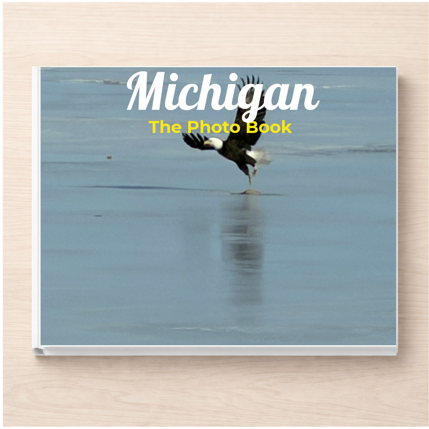 Michigan: The Photo Book