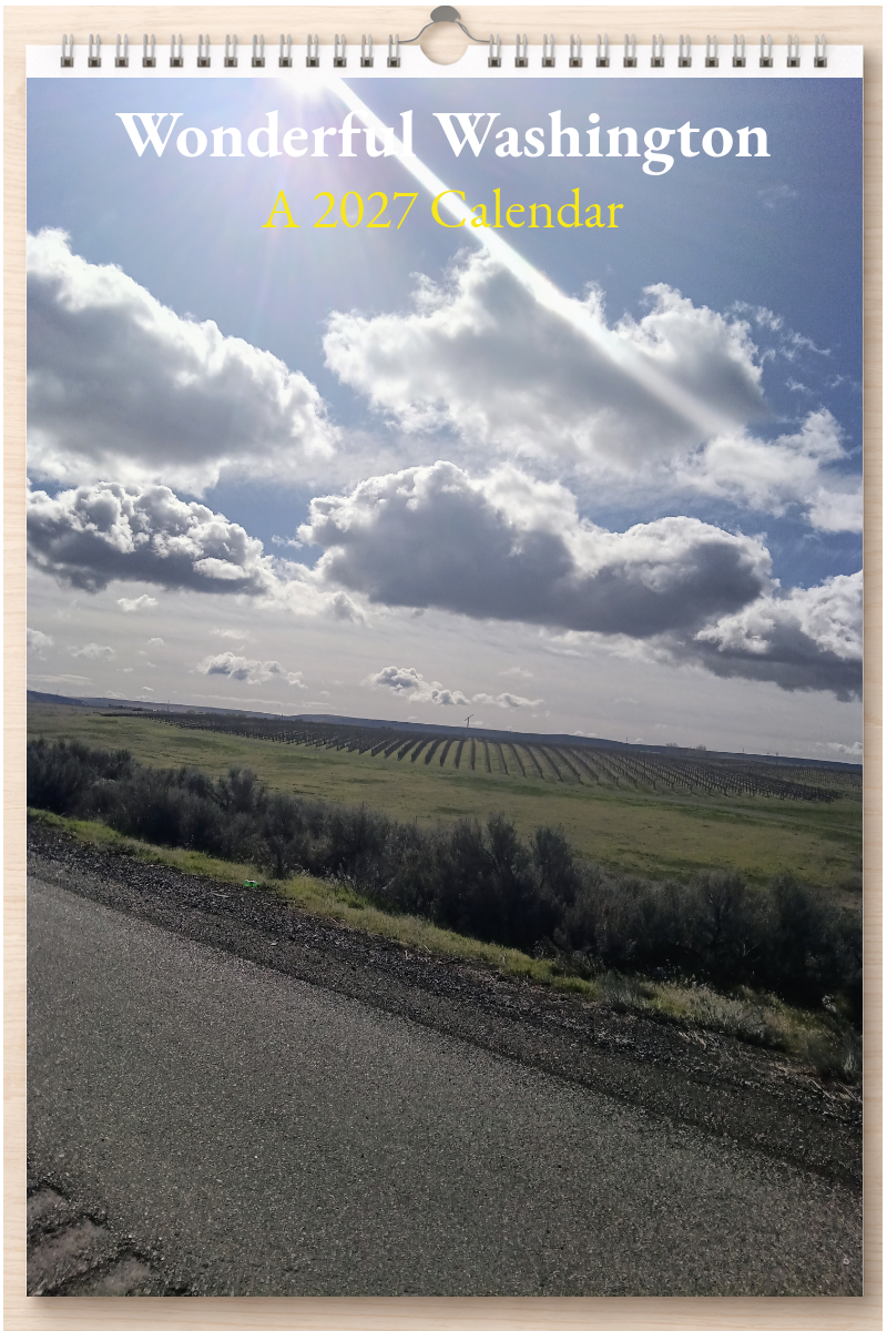 Wonderful Washington: A 2027 Calendar