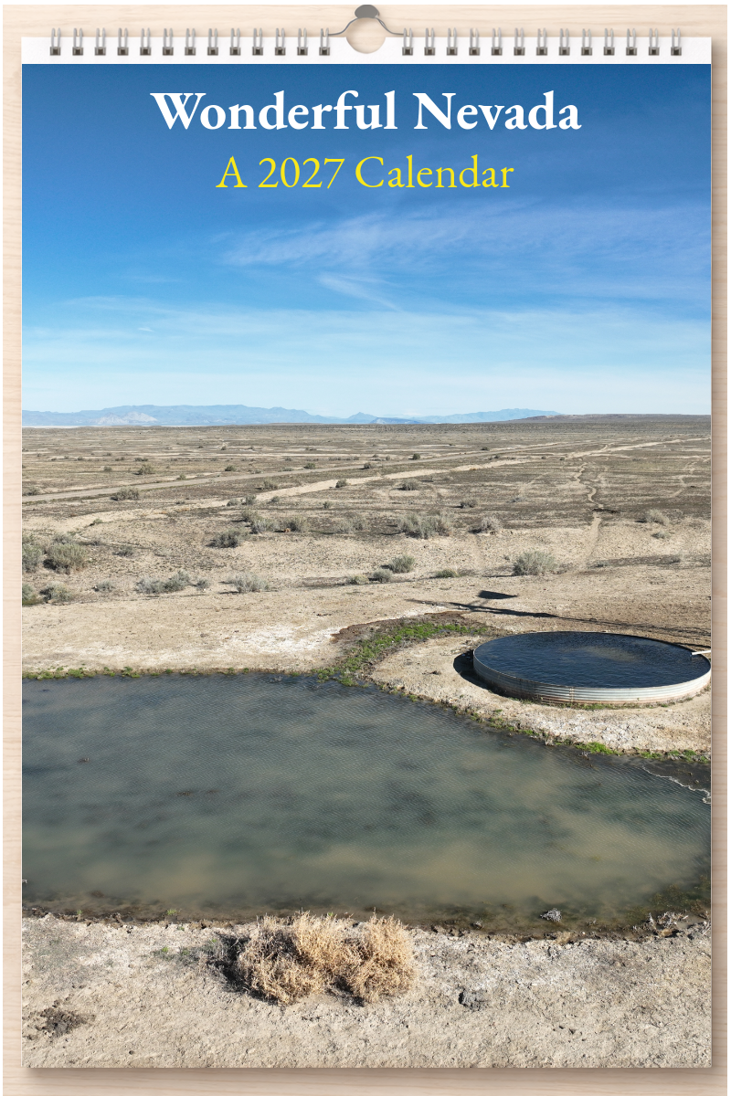 Wonderful Nevada: A 2027 Calendar