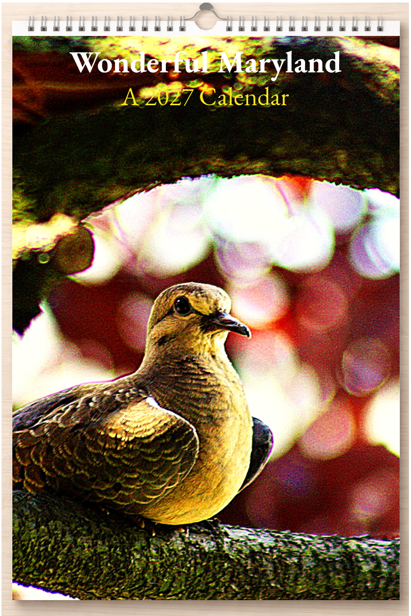 Wonderful Maryland: A 2027 Calendar
