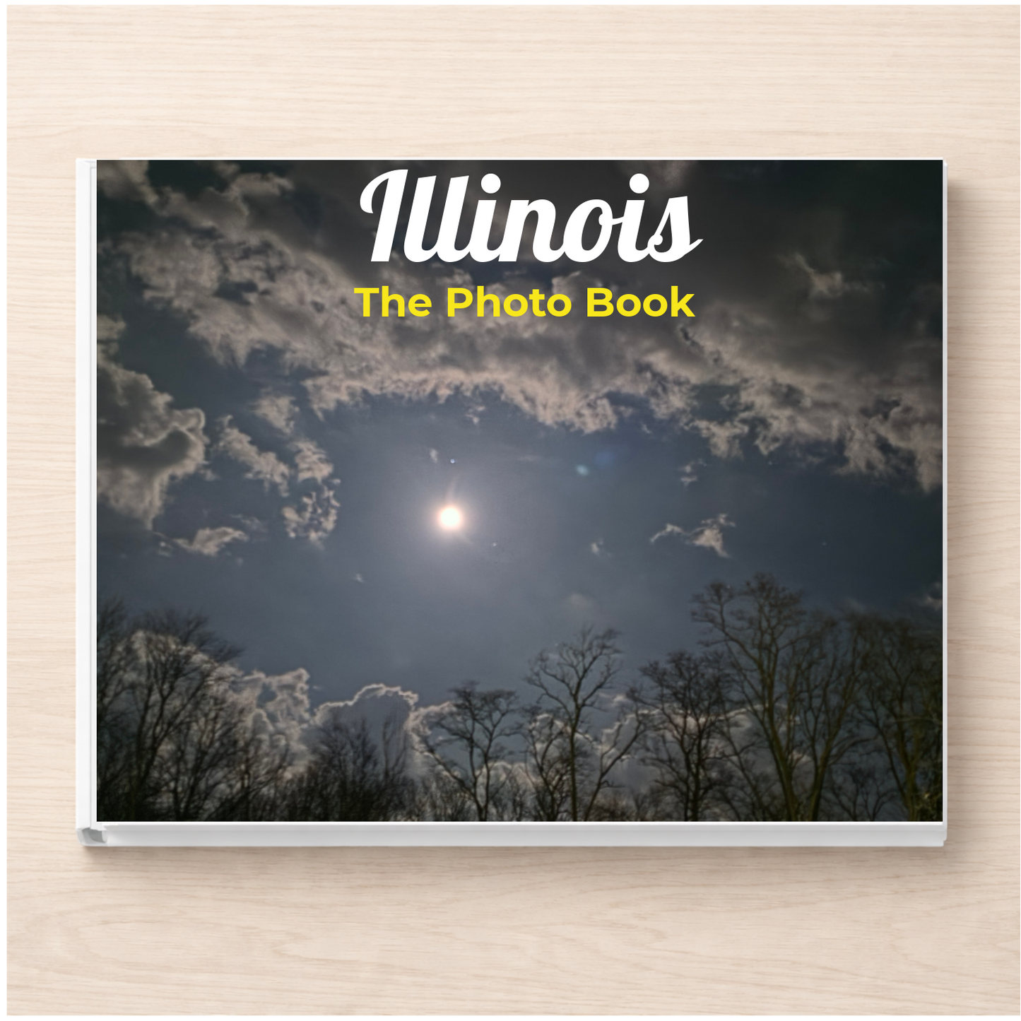 Illinois: The Photo Book