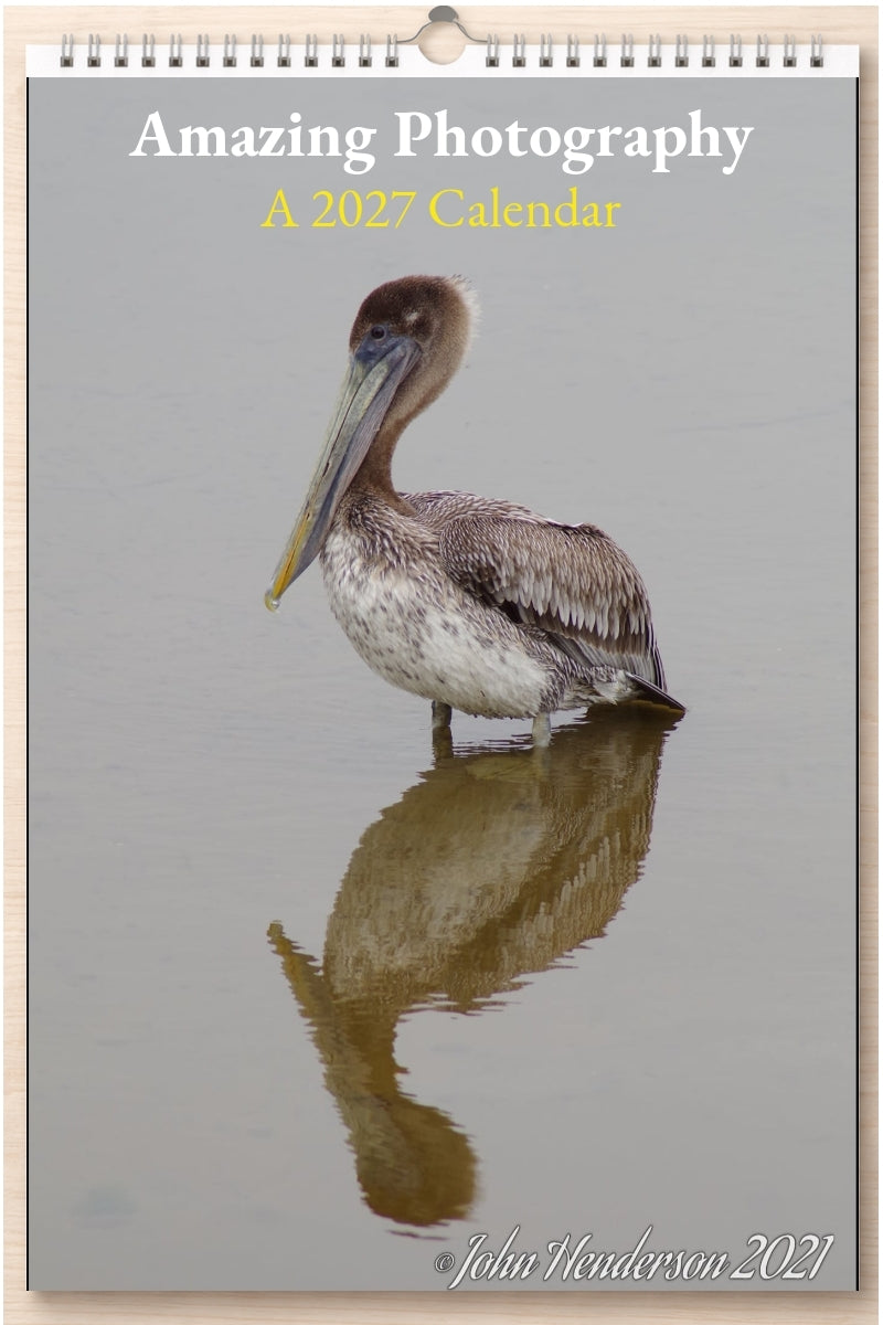 Amazing Photography: A 2027 Calendar