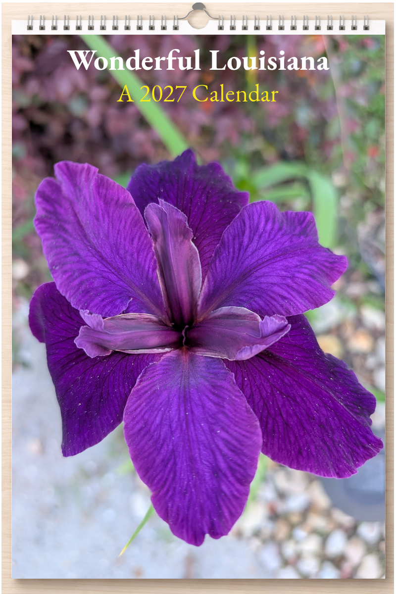 Wonderful Louisiana: A 2027 Calendar