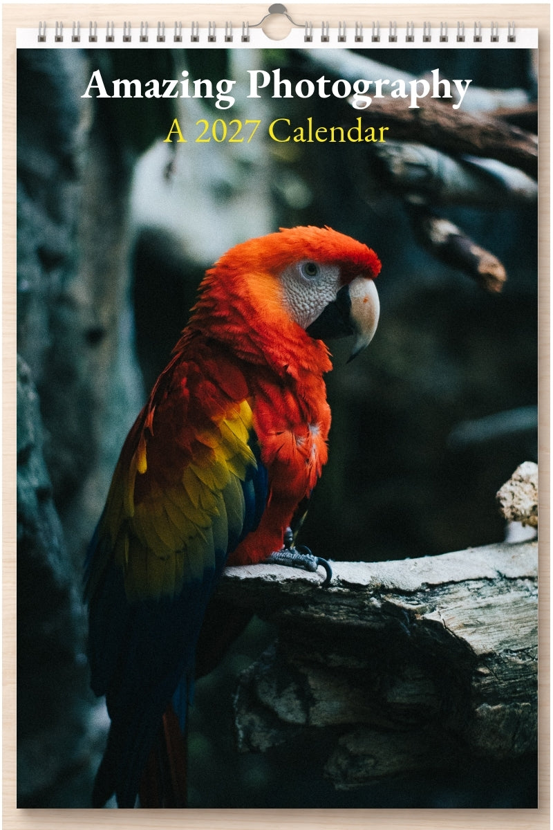 Amazing Photography: A 2027 Calendar