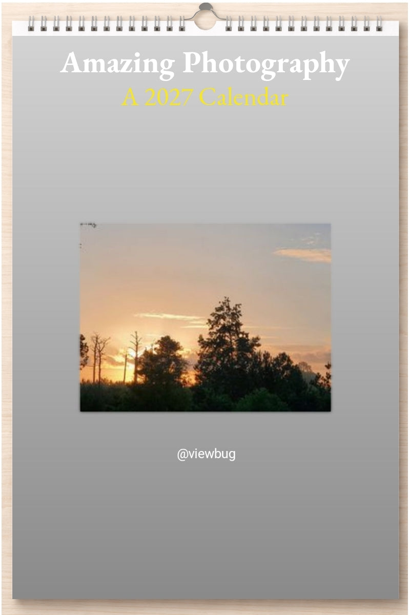 Amazing Photography: A 2027 Calendar
