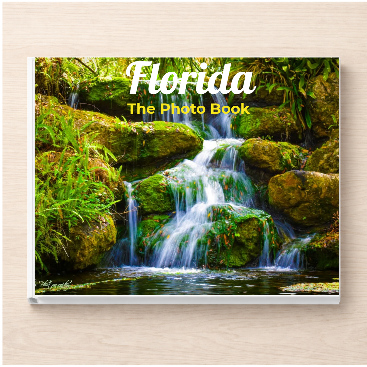 Florida: The Photo Book