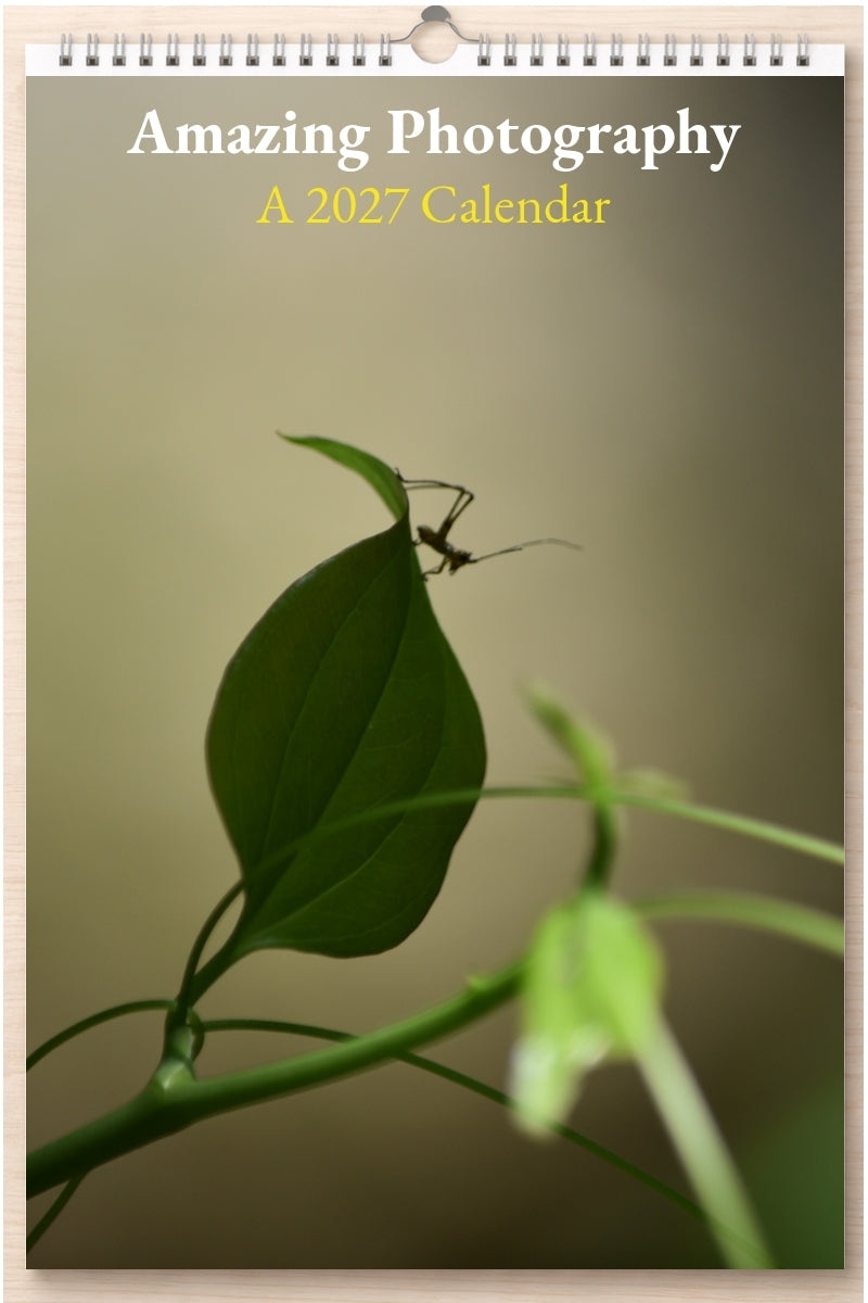 Amazing Photography: A 2027 Calendar